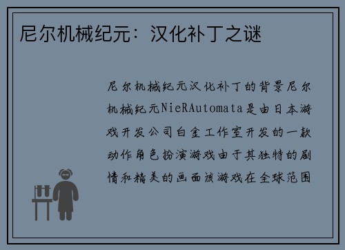 尼尔机械纪元：汉化补丁之谜